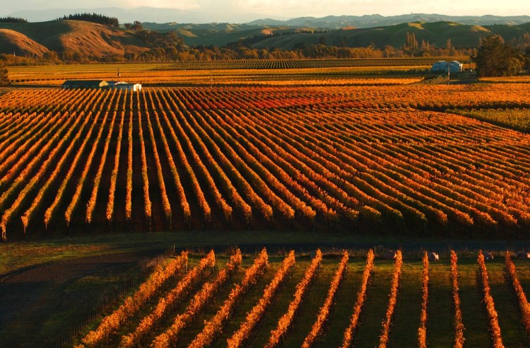 Trinity Hill low res