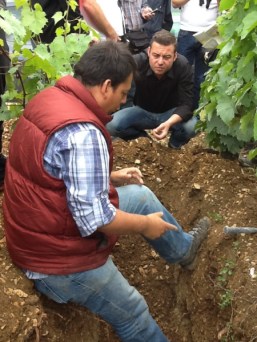 Credit: Pedro Parra Chile