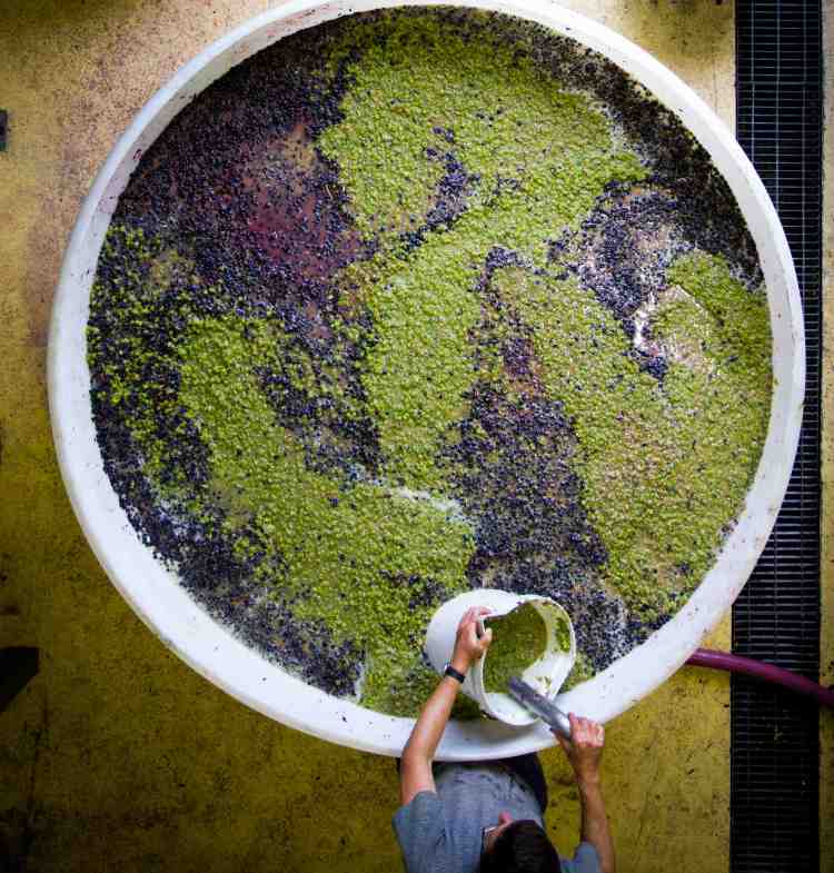 sv-david-reist-low-res